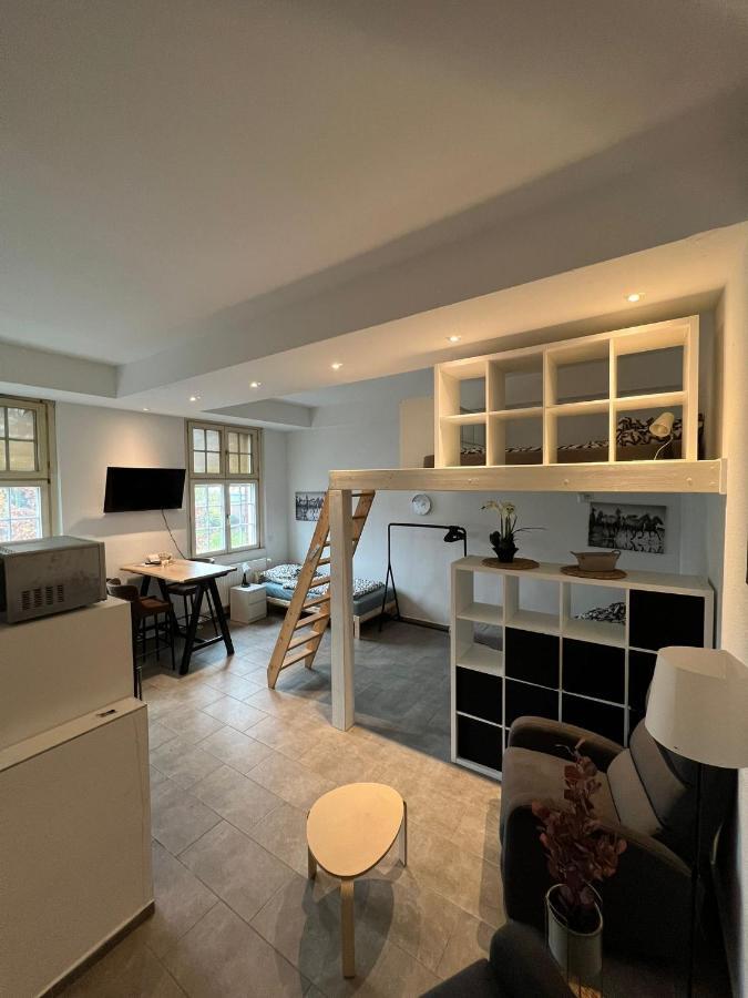 Viersen Schoene Apartments Am Duelkener Bahnhof Екстериор снимка